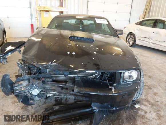 ✅ 2007 Ford Mustang GT Deluxe • VIN: 1ZVHT85HX75358269 • Lot: 43349509. Listed on IAAI with 93,128 mi. Free auction sales archive from the USA and detailed vehicle history report at DreamBid. Image 12.