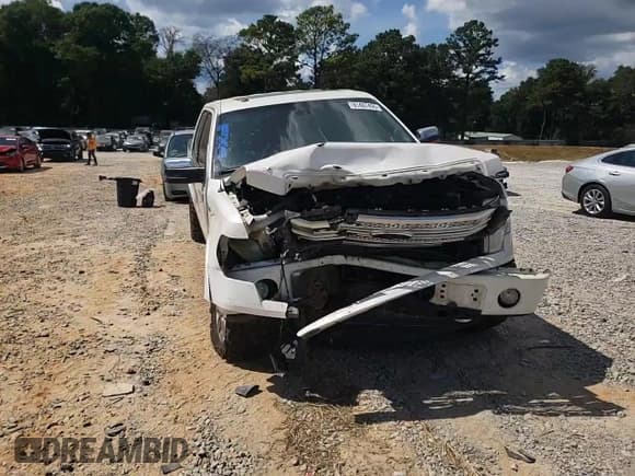 ✅ 2014 Ford F-150 Platinum • VIN: 1FTFW1EF5EFB43395 • Lot: 81487495. Listed on Copart with 227,063 mi. Free auction sales archive from the USA and detailed vehicle history report at DreamBid. Image 13.