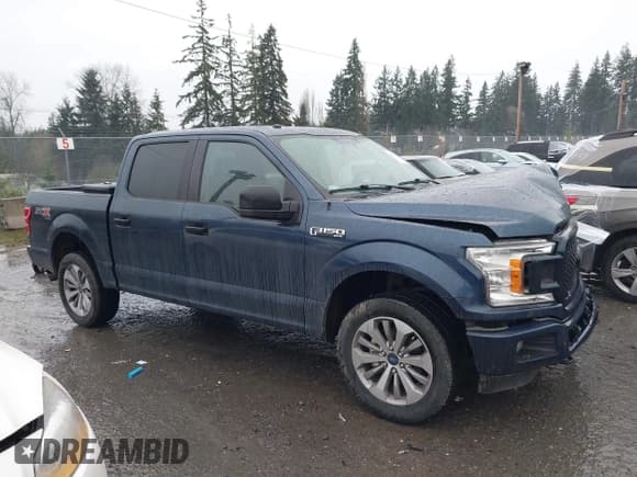 ✅ 2018 Ford F-150 XL • VIN: 1FTEW1EP8JKC72317 • Lot: 43787628. Wystawiony na IAAI z przebiegiem 107 631 mil. Bezpłatny archiwum sprzedaży aukcyjnych z USA i szczegółowy raport historii pojazdu na DreamBid. Zdjęcie 13.