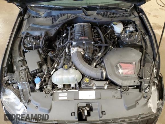 ✅ 2022 Ford Mustang GT • VIN: 1FA6P8CF0N5122104 • Lot: 61009485. Wystawiony na Copart z przebiegiem 4 103 mil. Bezpłatny archiwum sprzedaży aukcyjnych z USA i szczegółowy raport historii pojazdu na DreamBid. Zdjęcie 11.