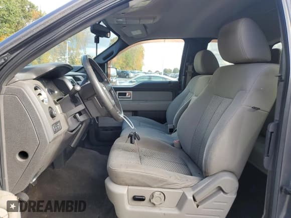 ✅ 2010 Ford F-150 XL • VIN: 1FTEX1E81AKA19491 • Lot: 82548185. Listed on Copart with 165,402 mi. Free auction sales archive from the USA and detailed vehicle history report at DreamBid. Image 7.