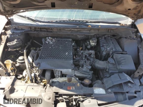 ✅ 2009 Mazda CX-7 Grand Touring • VIN: JM3ER29L590215995 • Lot: 60929585. Listed on Copart with 114,574 mi. Free auction sales archive from the USA and detailed vehicle history report at DreamBid. Image 11.