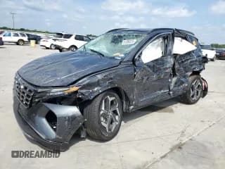 ✅ 2024 Hyundai Tucson Limited • VIN: 5NMJECDE6RH357001 • Lot: 61206574. Wystawiony na Copart z przebiegiem Nie podano. Bezpłatny archiwum sprzedaży aukcyjnych z USA i szczegółowy raport historii pojazdu na DreamBid. Zdjęcie 1.