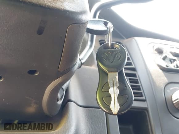 ✅ 2003 Dodge Dakota SLT • VIN: 1D7HL48X63S144573 • Lot: 42798150. Wystawiony na IAAI z przebiegiem 224 361 mil. Bezpłatny archiwum sprzedaży aukcyjnych z USA i szczegółowy raport historii pojazdu na DreamBid. Zdjęcie 11.