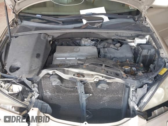 ✅ 2005 Lexus RX 330 • VIN: 2T2HA31U55C053627 • Lot: 43413535. Wystawiony na IAAI z przebiegiem 341 999 mil. Bezpłatny archiwum sprzedaży aukcyjnych z USA i szczegółowy raport historii pojazdu na DreamBid. Zdjęcie 10.