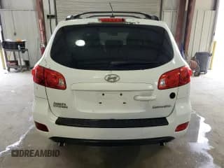 ✅ 2009 Hyundai Santa Fe GLS • VIN: 5NMSG13D89H248048 • Lot: 78258324. Listed on Copart with 261,583 mi. Free auction sales archive from the USA and detailed vehicle history report at DreamBid. Image 6.