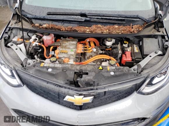 2019 Chevrolet Bolt EV LT z VIN 1G1FY6S09K4137560, wystawiony jako Copart lot #48683244 z przebiegiem 27 289 mil mil oraz . Historia ofert i sprzedaży dostępna na DreamBid. Obrazek 11.