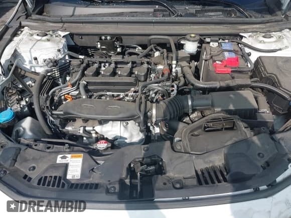 ✅ 2024 Honda Accord LX • VIN: 1HGCY1F21RA024577 • Lot: 43152596. Listed on IAAI with 38,482 mi. Free auction sales archive from the USA and detailed vehicle history report at DreamBid. Image 10.