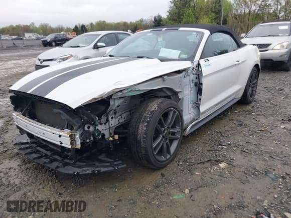✅ 2017 Ford Mustang EcoBoost Premium • VIN: 1FATP8UH7H5301411 • Lot: 41971140. Listed on IAAI with 55,176 mi. Free auction sales archive from the USA and detailed vehicle history report at DreamBid. Image 2.