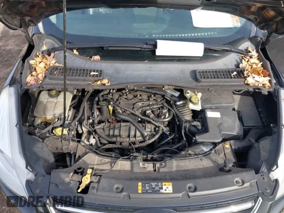 ✅ 2013 Ford Escape SEL • VIN: 1FMCU9HX3DUA46939 • Lot: 43825115. Listed on IAAI with 112,326 mi. Free auction sales archive from the USA and detailed vehicle history report at DreamBid. Image 10.