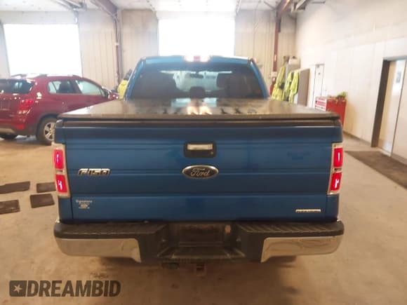 ✅ 2014 Ford F-150 XL • VIN: 1FTEX1EM2EFC07125 • Lot: 42294350. Wystawiony na IAAI z przebiegiem 134 160 mil. Bezpłatny archiwum sprzedaży aukcyjnych z USA i szczegółowy raport historii pojazdu na DreamBid. Zdjęcie 16.