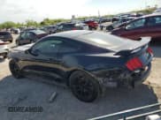 ✅ 2017 Ford Mustang GT • VIN: 1FA6P8CFXH5330401 • Lot: 53380595. Listed on Copart with Not provided. Free auction sales archive from the USA and detailed vehicle history report at DreamBid. Image 2.