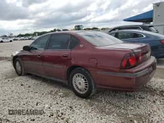 2001 Chevrolet Impala с VIN 2G1WF55K319107740, выставлен на аукционе Copart как лот 72576454 с пробегом 75 256 миль миль и Списание • Salvage title. История ставок и продаж доступна на DreamBid. Изображение 2.