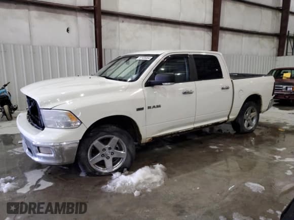 ✅ 2009 Dodge 1500 SLT • VIN: 1D3HV13T49S744385 • Лот: 87455004. Опубликован ранее на Copart с пробегом 306 513 миль. Бесплатный доступ к архиву аукционных продаж из США и подробный отчёт об истории автомобиля на DreamBid. Изображение 1.
