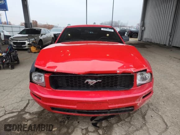 ✅ 2005 Ford Mustang Deluxe • VIN: 1ZVFT80N855237774 • Lot: 93550235. Wystawiony na Copart z przebiegiem 225 481 mil. Bezpłatny archiwum sprzedaży aukcyjnych z USA i szczegółowy raport historii pojazdu na DreamBid. Zdjęcie 5.