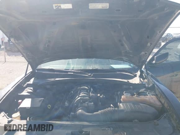 ✅ 2014 Dodge Charger Police • VIN: 2C3CDXATXEH191100 • Лот: 43221692. Опубликован ранее на IAAI с пробегом 221 239 миль. Бесплатный доступ к архиву аукционных продаж из США и подробный отчёт об истории автомобиля на DreamBid. Изображение 10.