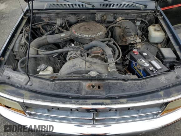 1993 Dodge Dakota with VIN 1B7FL23X4PS285239, listed as a Copart auction lot 46737855 with 172,732 mi miles and Clean title. Bid and sale history available at DreamBid. Image 11.