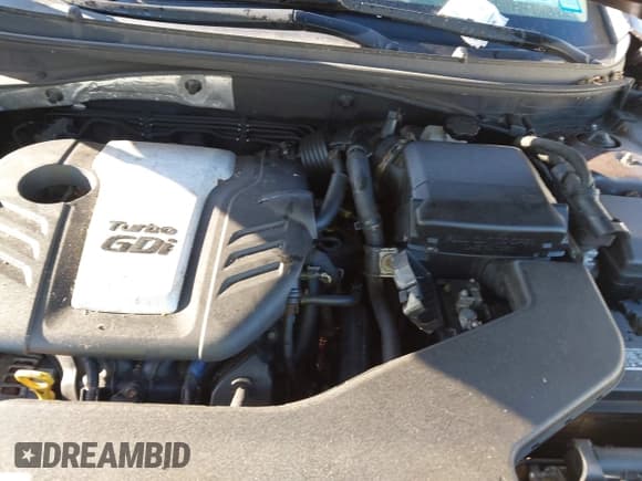 ✅ 2016 Hyundai Sonata Eco • VIN: 5NPE24AA2GH434464 • Лот: 43279969. Опубликован ранее на IAAI с пробегом Не указан. Бесплатный доступ к архиву аукционных продаж из США и подробный отчёт об истории автомобиля на DreamBid. Изображение 10.