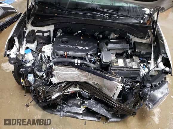 2019 Hyundai Santa Fe Ultimate z VIN 5NMS5CAD3KH073069, wystawiony jako Copart lot #72809582 z przebiegiem 35 051 mil mil oraz . Historia ofert i sprzedaży dostępna na DreamBid. Obrazek 11.