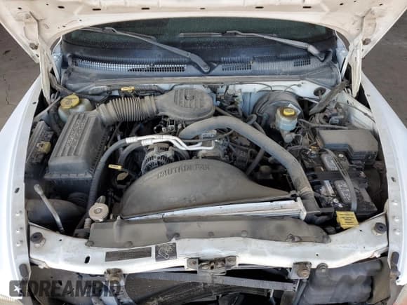 ✅ 1999 Dodge Dakota SLT • VIN: 1B7FL26X6XS180827 • Lot: 85789944. Wystawiony na Copart z przebiegiem 85 166 mil. Bezpłatny archiwum sprzedaży aukcyjnych z USA i szczegółowy raport historii pojazdu na DreamBid. Zdjęcie 11.