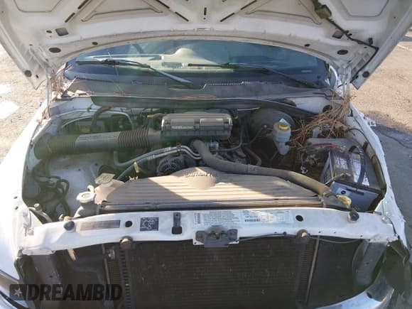 ✅ 2000 Dodge 1500 • VIN: 1B7HC16Y5YS619884 • Lot: 43564807. Listed on IAAI with 116,219 mi. Free auction sales archive from the USA and detailed vehicle history report at DreamBid. Image 10.