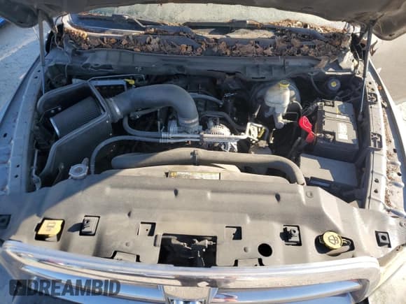 ✅ 2010 Dodge 1500 SLT • VIN: 1D7RV1GTXAS244152 • Lot: 67192694. Wystawiony na Copart z przebiegiem 210 821 mil. Bezpłatny archiwum sprzedaży aukcyjnych z USA i szczegółowy raport historii pojazdu na DreamBid. Zdjęcie 11.