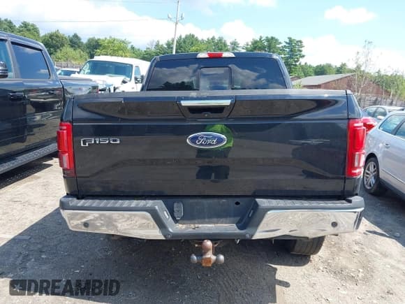 ✅ 2016 Ford F-150 XLT • VIN: 1FTEW1EG7GFD18057 • Lot: 42840193. Listed on IAAI with 113,694 mi. Free auction sales archive from the USA and detailed vehicle history report at DreamBid. Image 16.