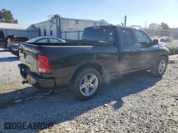 ✅ 2010 Dodge 1500 ST • VIN: 1D7RB1GK9AS115545 • Lot: 41603015. Wystawiony na Copart z przebiegiem 191 293 mil. Bezpłatny archiwum sprzedaży aukcyjnych z USA i szczegółowy raport historii pojazdu na DreamBid. Zdjęcie 3.