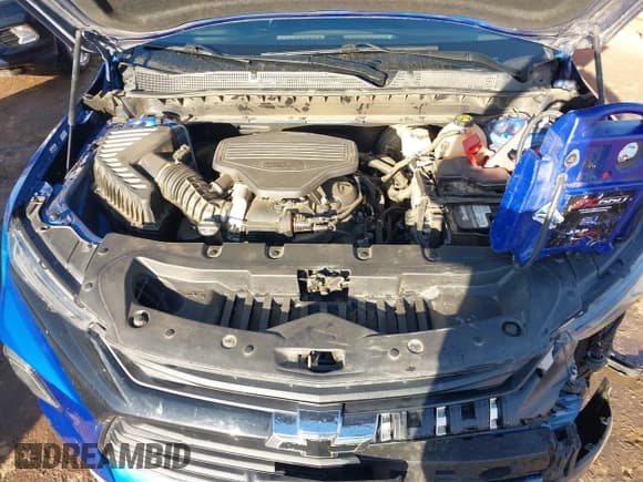 ✅ 2019 Chevrolet Blazer • VIN: 3GNKBGRS2KS587322 • Lot: 43618747. Listed on IAAI with 116,724 mi. Free auction sales archive from the USA and detailed vehicle history report at DreamBid. Image 10.