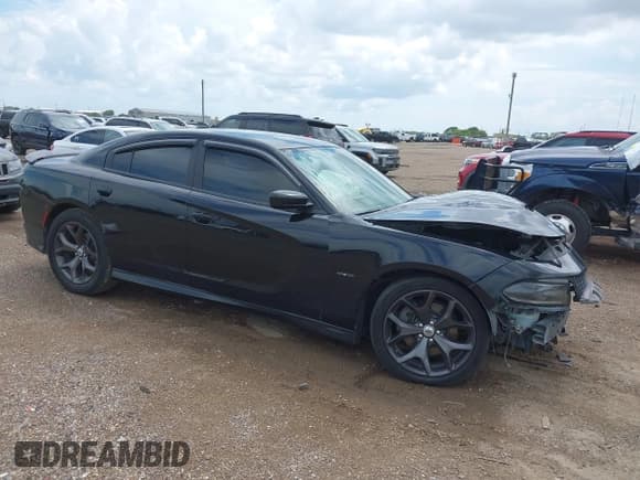 ✅ 2019 Dodge Charger R/T • VIN: 2C3CDXCTXKH630059 • Lot: 43220425. Listed on IAAI with 117,464 mi. Free auction sales archive from the USA and detailed vehicle history report at DreamBid. Image 1.