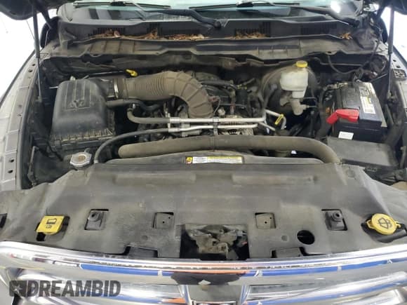 ✅ 2010 Dodge 1500 SLT • VIN: 1D7RB1CT9AS108772 • Lot: 61823905. Wystawiony na Copart z przebiegiem 137 663 mil. Bezpłatny archiwum sprzedaży aukcyjnych z USA i szczegółowy raport historii pojazdu na DreamBid. Zdjęcie 11.