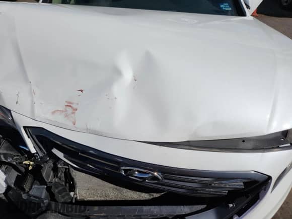 2017 Hyundai Sonata Sport with VIN 5NPE34AF9HH591306, listed as a Copart auction lot 86335185 with 121,895 mi miles and Salvage title. Bid and sale history available at DreamBid. Image 11.