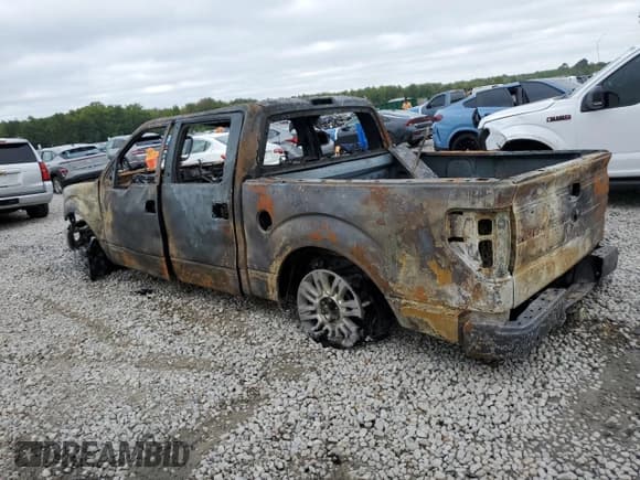 ✅ 2013 Ford F-150 XL • VIN: 1FTFW1EF4DFB01802 • Lot: 85697035. Listed on Copart with Not provided. Free auction sales archive from the USA and detailed vehicle history report at DreamBid. Image 2.