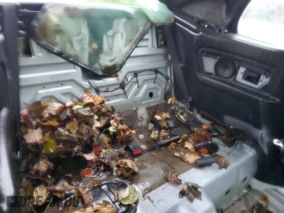 1988 BMW 3 Series с VIN WBABB2306J8855814, выставлен на аукционе Copart как лот 90883585 с пробегом 109 831 миль миль и Чистый • Clean title. История ставок и продаж доступна на DreamBid. Изображение 11.