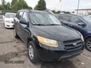✅ 2009 Hyundai Santa Fe GLS • VIN: 5NMSG13D29H322340 • Lot: 43335825. Listed on IAAI with 306,617 mi. Free auction sales archive from the USA and detailed vehicle history report at DreamBid. Image 1.