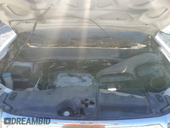 ✅ 2009 Honda Pilot EX-L • VIN: 5FNYF38679B017520 • Lot: 91252245. Wystawiony na Copart z przebiegiem 291 995 mil. Bezpłatny archiwum sprzedaży aukcyjnych z USA i szczegółowy raport historii pojazdu na DreamBid. Zdjęcie 12.