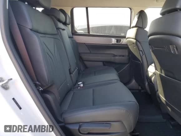 2025 Hyundai Santa Fe SEL с VIN 5NMP2DGL1SH075499, выставлен на аукционе Copart как лот 83337434 с пробегом 116 миль миль и Списание • Salvage title. История ставок и продаж доступна на DreamBid. Изображение 11.