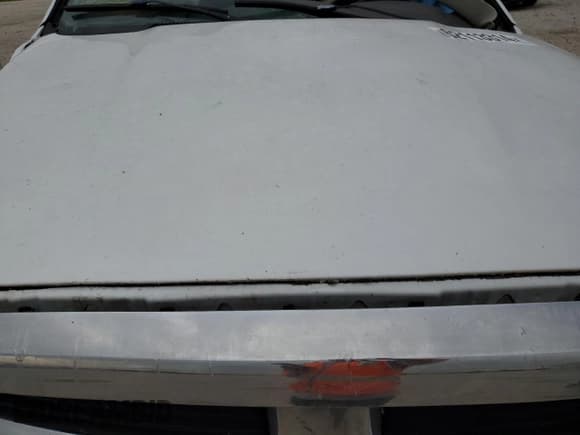 ✅ 2008 Dodge 1500 SLT • VIN: 1D7HA16N98J244590 • Лот: 62113314. Опубликован ранее на Copart с пробегом Не указан. Бесплатный доступ к архиву аукционных продаж из США и подробный отчёт об истории автомобиля на DreamBid. Изображение 12.