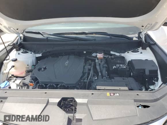 2022 Hyundai Santa Cruz SEL с VIN 5NTJBDAE3NH031402, выставлен на аукционе Copart как лот 59887415 с пробегом 48 156 миль миль и Списание • Salvage title. История ставок и продаж доступна на DreamBid. Изображение 11.