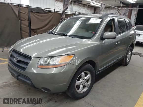 ✅ 2008 Hyundai Santa Fe GLS • VIN: 5NMSG13D98H174556 • Lot: 43633100. Listed on IAAI with 114,450 mi. Free auction sales archive from the USA and detailed vehicle history report at DreamBid. Image 17.