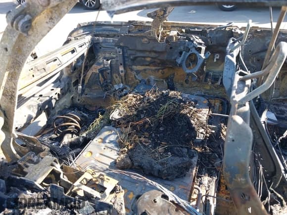 ✅ 2023 MINI Convertible Cooper S • VIN: WMW43DL03P3P74342 • Lot: 42150726. Wystawiony na IAAI z przebiegiem Nie podano. Bezpłatny archiwum sprzedaży aukcyjnych z USA i szczegółowy raport historii pojazdu na DreamBid. Zdjęcie 8.