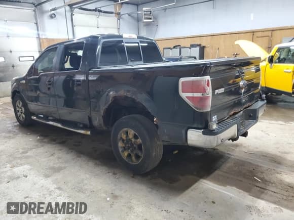 ✅ 2010 Ford F-150 XL • VIN: 1FTFW1EV4AKB56874 • Lot: 81451505. Listed on Copart with 217,915 mi. Free auction sales archive from the USA and detailed vehicle history report at DreamBid. Image 2.