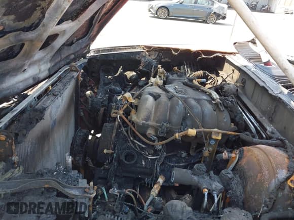 ✅ 1998 Toyota 4Runner SR5 • VIN: JT3GN86R4W0088505 • Лот: 42956113. Опубликован ранее на IAAI с пробегом 291 497 миль. Бесплатный доступ к архиву аукционных продаж из США и подробный отчёт об истории автомобиля на DreamBid. Изображение 10.