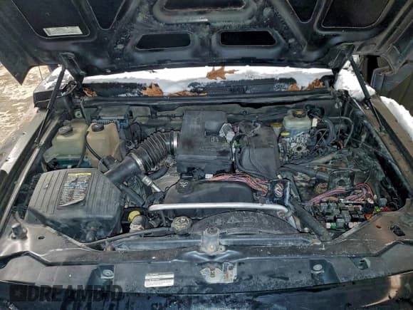 ✅ 2008 Hummer H3 Luxury • VIN: 5GTEN13E388103729 • Lot: 95534415. Wystawiony na Copart z przebiegiem Nie podano. Bezpłatny archiwum sprzedaży aukcyjnych z USA i szczegółowy raport historii pojazdu na DreamBid. Zdjęcie 12.