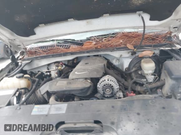 ✅ 2006 Chevrolet Silverado 1500 LT1 • VIN: 2GCEC13T661229109 • Лот: 43291274. Опубликован ранее на IAAI с пробегом Не указан. Бесплатный доступ к архиву аукционных продаж из США и подробный отчёт об истории автомобиля на DreamBid. Изображение 10.