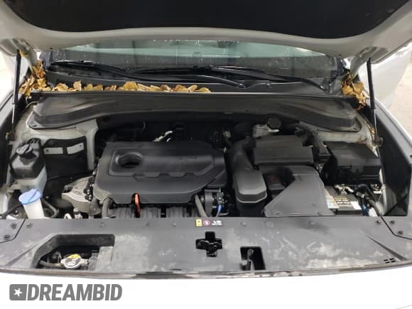 ✅ 2019 Hyundai Santa Fe SE • VIN: 5NMS2CAD4KH035147 • Lot: 41079573. Wystawiony na Copart z przebiegiem 46 772 mil. Bezpłatny archiwum sprzedaży aukcyjnych z USA i szczegółowy raport historii pojazdu na DreamBid. Zdjęcie 12.