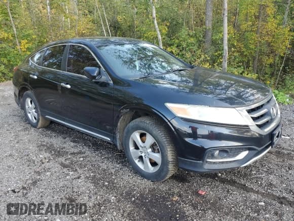 ✅ 2013 Honda Crosstour EX • VIN: 5J6TF3H35DL800240 • Лот: 81017205. Опубликован ранее на Copart с пробегом 281 529 миль. Бесплатный доступ к архиву аукционных продаж из США и подробный отчёт об истории автомобиля на DreamBid. Изображение 4.