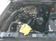 ✅ 2002 Ford Mustang Standard • VIN: 1FAFP40402F186628 • Lot: 43301489. Wystawiony na IAAI z przebiegiem 1 313 913 mil. Bezpłatny archiwum sprzedaży aukcyjnych z USA i szczegółowy raport historii pojazdu na DreamBid. Zdjęcie 18.