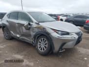 ✅ 2021 Lexus NX 300 • VIN: JTJDARDZXM2244015 • Lot: 41560663. Wystawiony na IAAI z przebiegiem 91 343 mil. Bezpłatny archiwum sprzedaży aukcyjnych z USA i szczegółowy raport historii pojazdu na DreamBid. Zdjęcie 1.