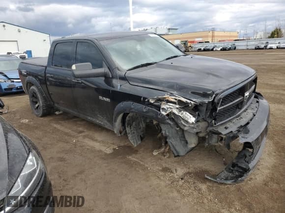 ✅ 2010 Dodge 1500 SLT • VIN: 1D7RV1CT8AS167917 • Lot: 52312985. Wystawiony na Copart z przebiegiem 402 856 mil. Bezpłatny archiwum sprzedaży aukcyjnych z USA i szczegółowy raport historii pojazdu na DreamBid. Zdjęcie 4.